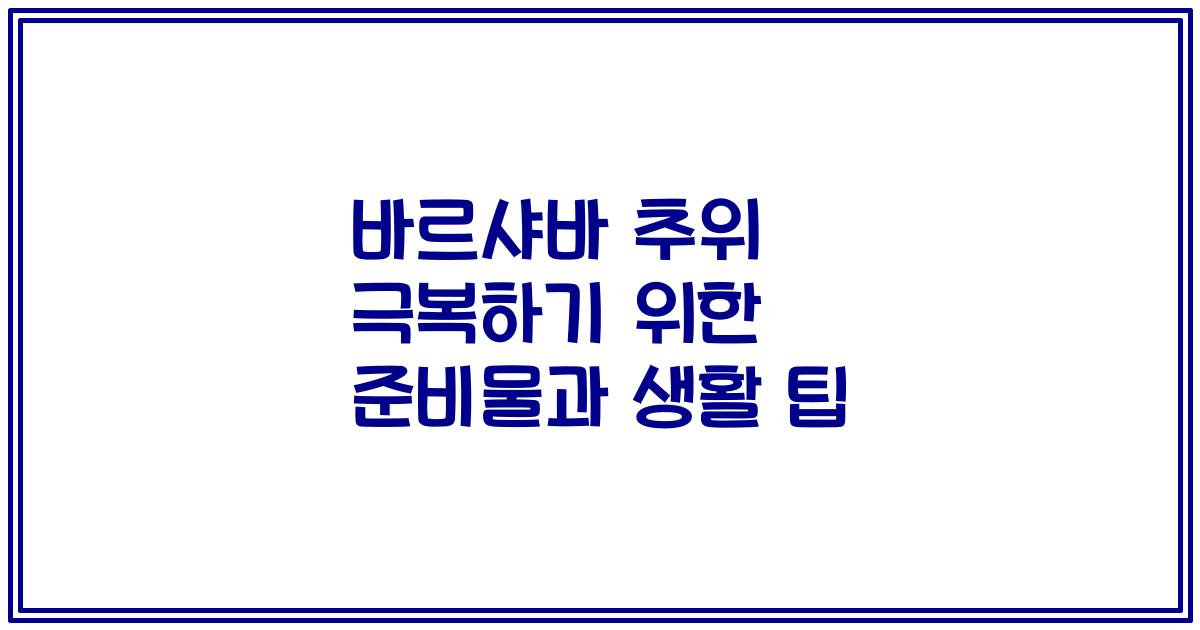 바르샤바 추위 극복하기 위한 준비물과 생활 팁