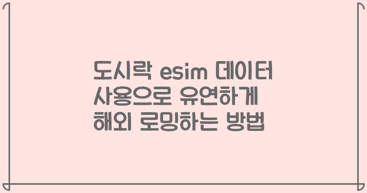 도시락 esim 데이터 사용으로 유연하게 해외 로밍하는 방법