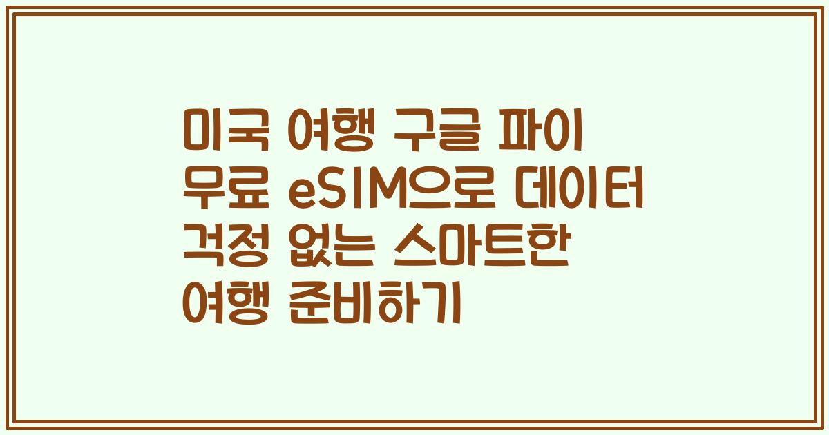 미국 여행 구글 파이 무료 eSIM으로 데이터 걱정 없는 스마트한 여행 준비하기