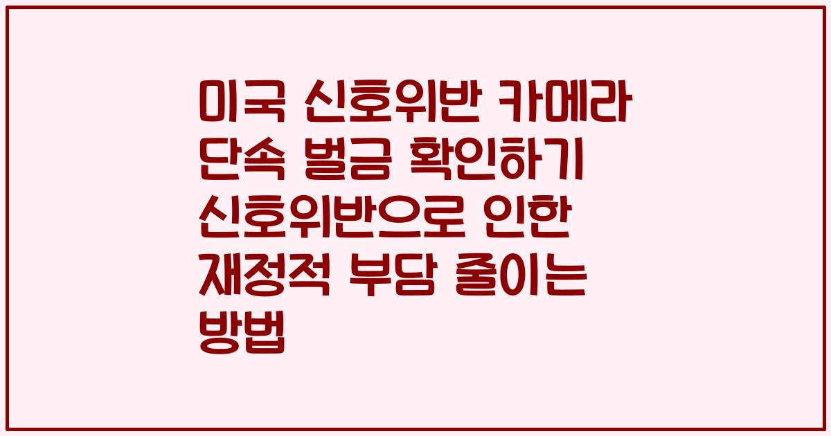 미국 신호위반 카메라 단속 벌금 확인하기 신호위반으로 인한 재정적 부담 줄이는 방법