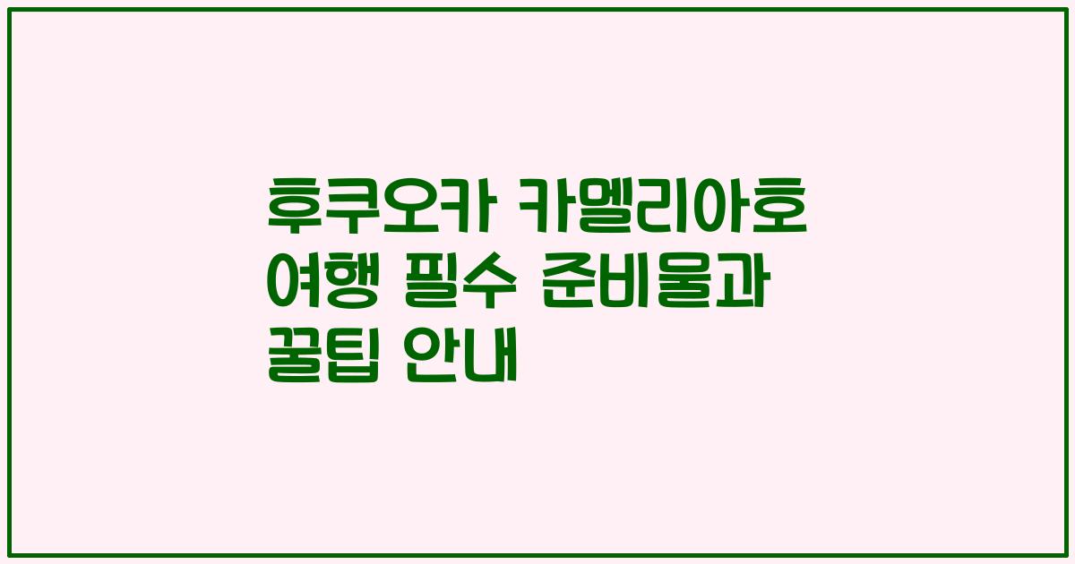 후쿠오카 카멜리아호 여행 필수 준비물과 꿀팁 안내